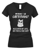 Women's V-Neck T-Shirt Women's V-Neck T-Shirt